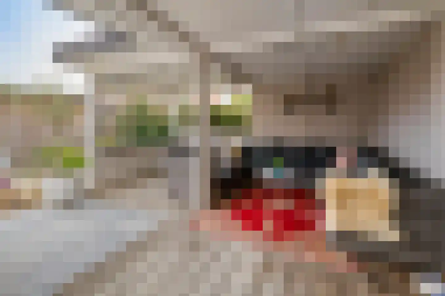 Schout van Lyndenstraat 6 's-Hertogenbosch thumbnail 13