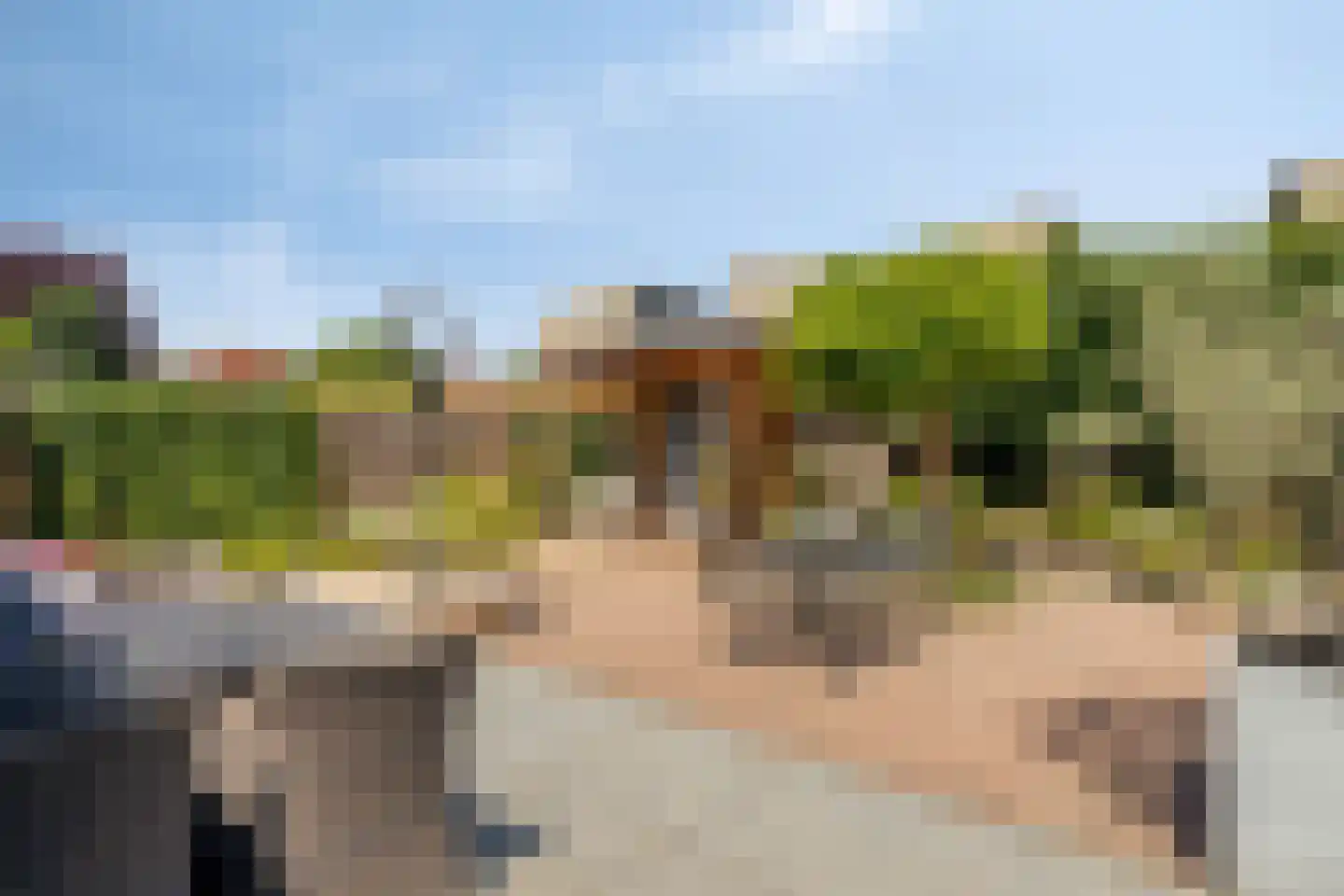 Schout van Lyndenstraat 6 's-Hertogenbosch thumbnail 17