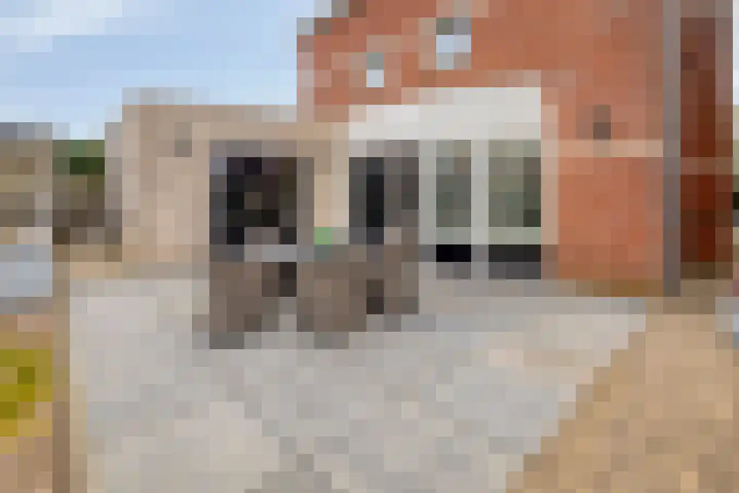 Schout van Lyndenstraat 6 's-Hertogenbosch thumbnail 17