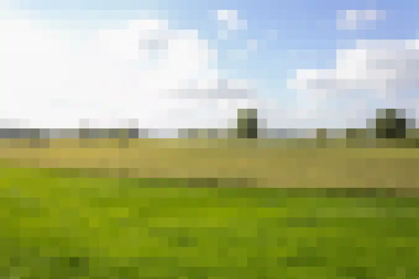 Schout van Lyndenstraat 6 's-Hertogenbosch thumbnail 39