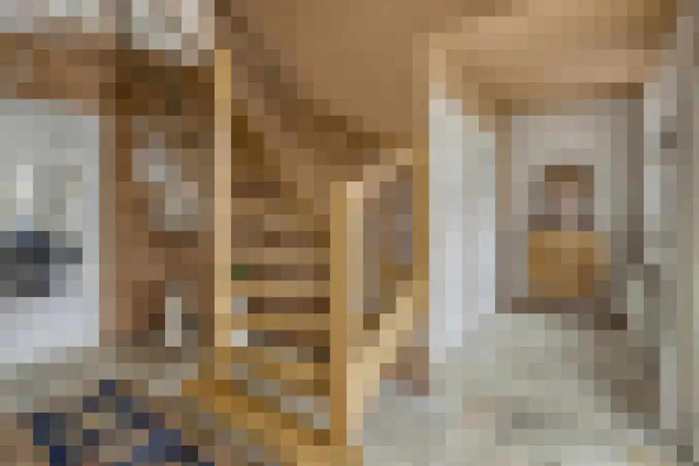 Schout van Lyndenstraat 6 's-Hertogenbosch thumbnail 4