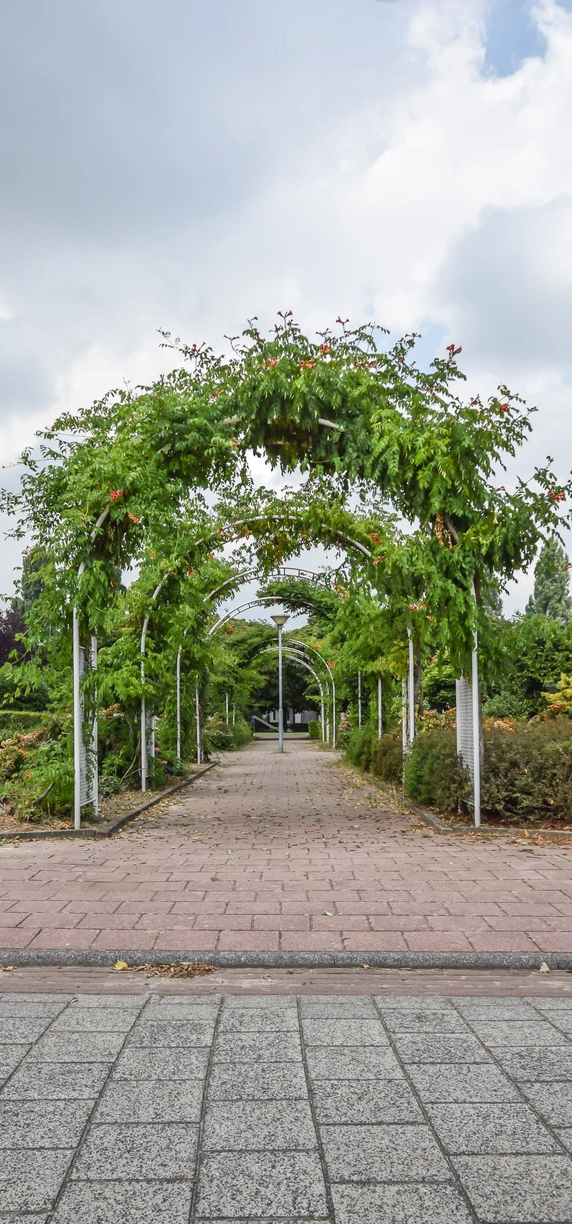 Schout van Meghenlaan 14 's-Hertogenbosch thumbnail 38