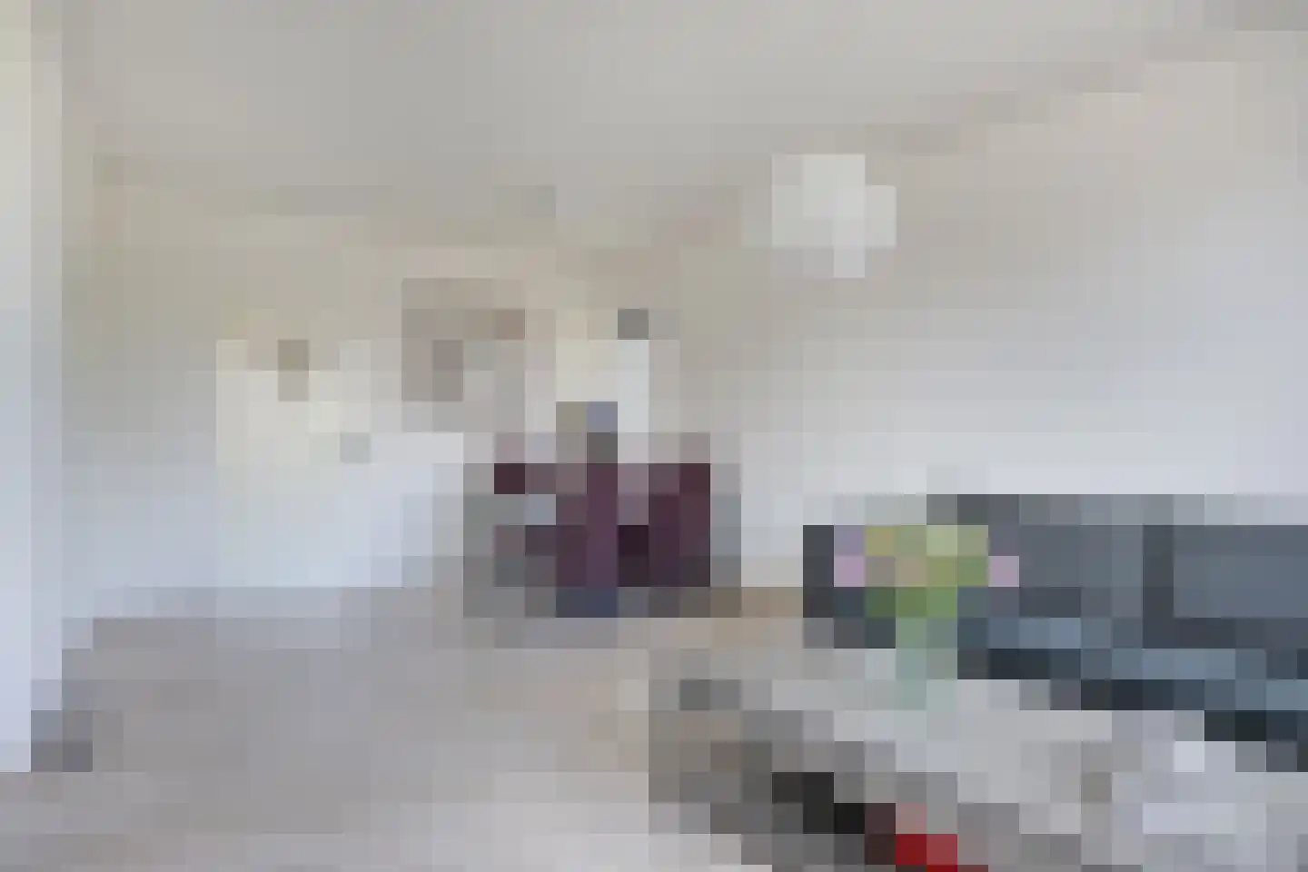 Schout van Merwijckstraat 38 Panningen thumbnail 17