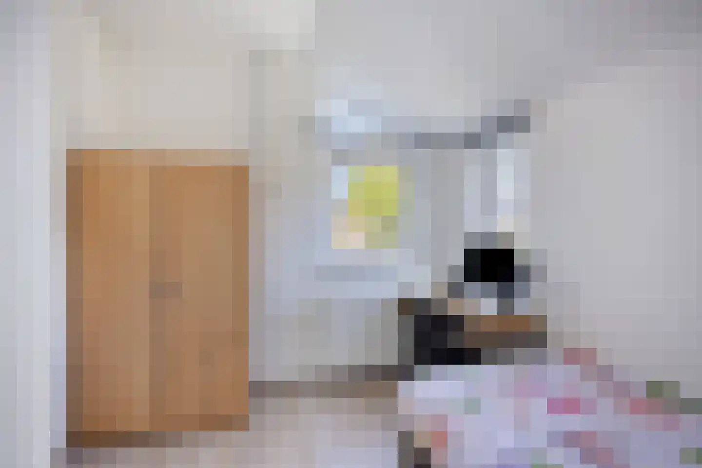 Schout van Merwijckstraat 38 Panningen thumbnail 26
