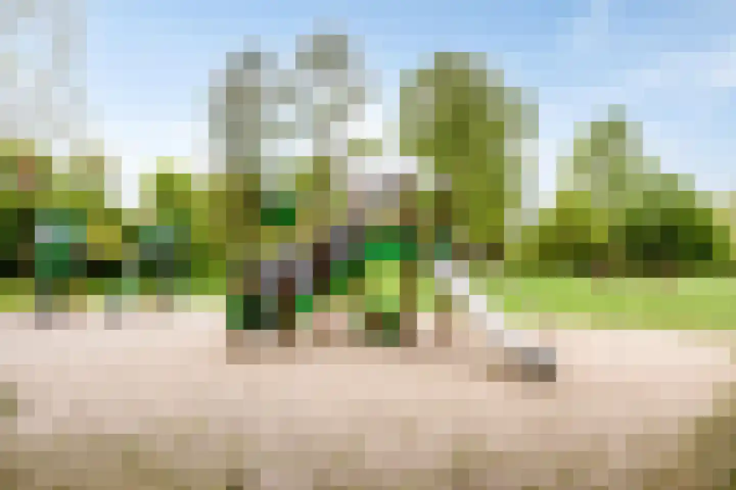 Schout van Merwijckstraat 38 Panningen thumbnail 38