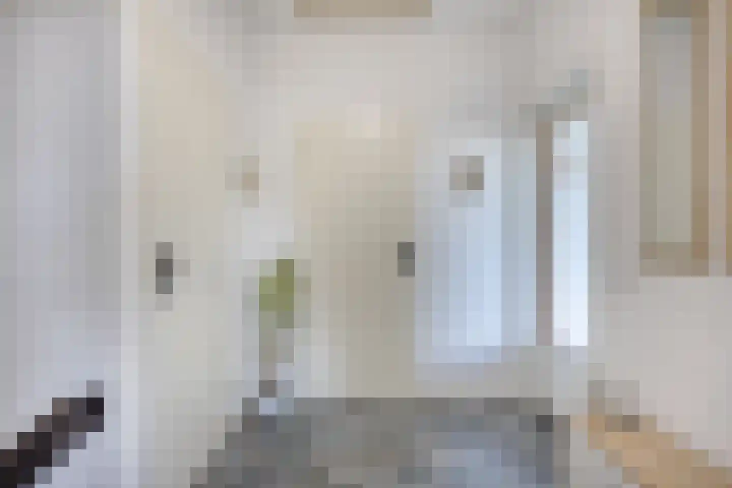 Schout van Merwijckstraat 38 Panningen thumbnail 7