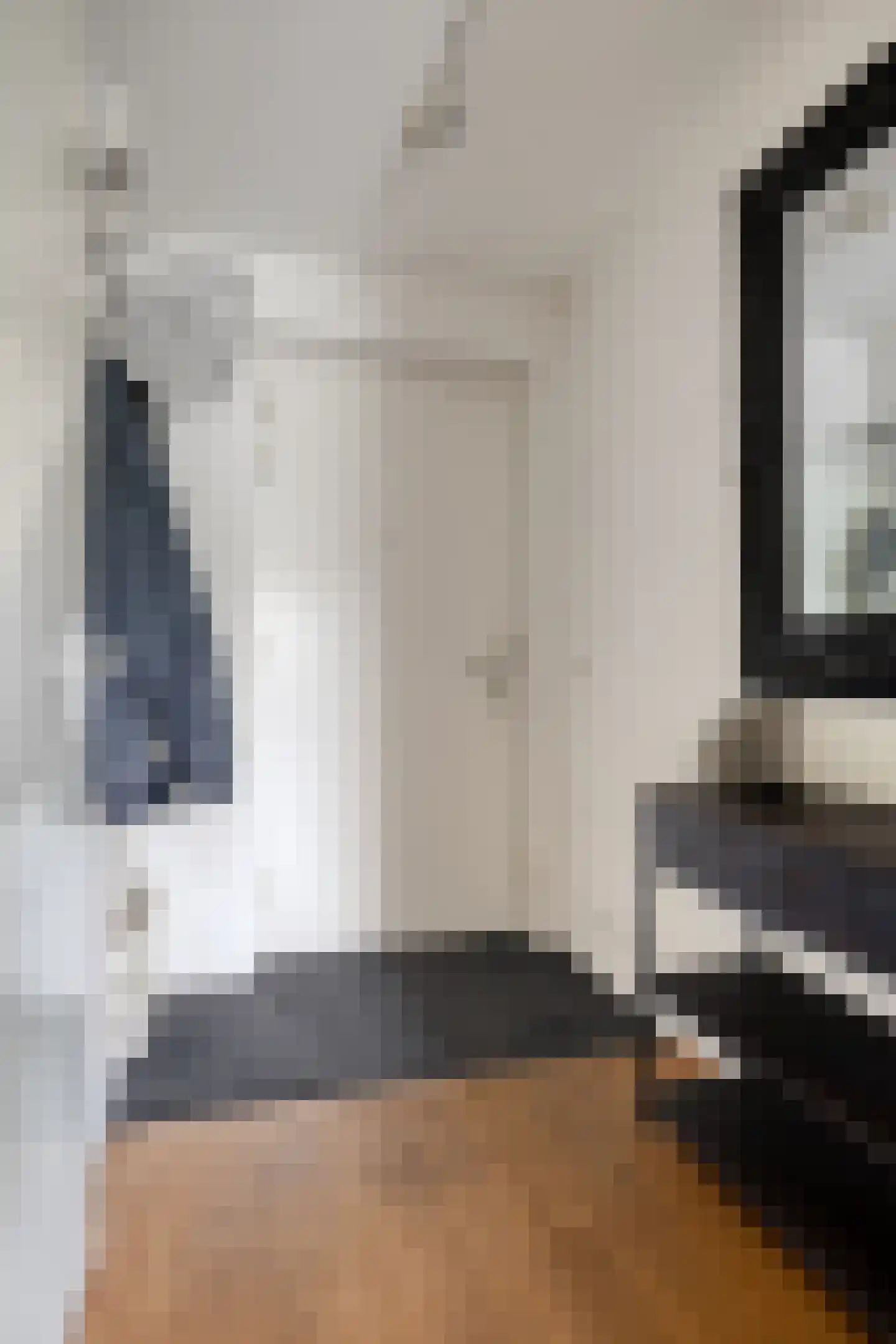Schout van Raesfeltstraat 101 's-Hertogenbosch thumbnail 11