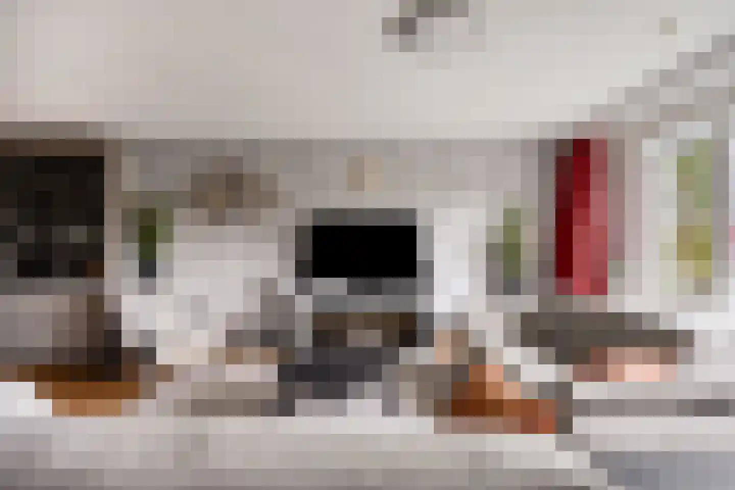 Schout van Raesfeltstraat 101 's-Hertogenbosch thumbnail 17