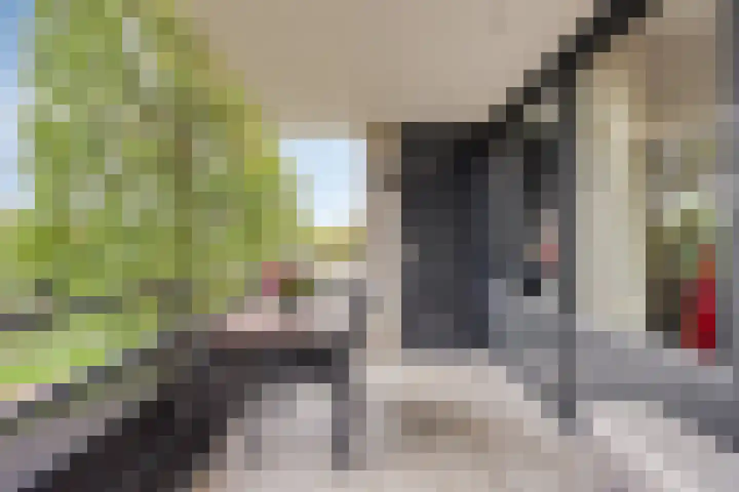 Schout van Raesfeltstraat 101 's-Hertogenbosch thumbnail 18