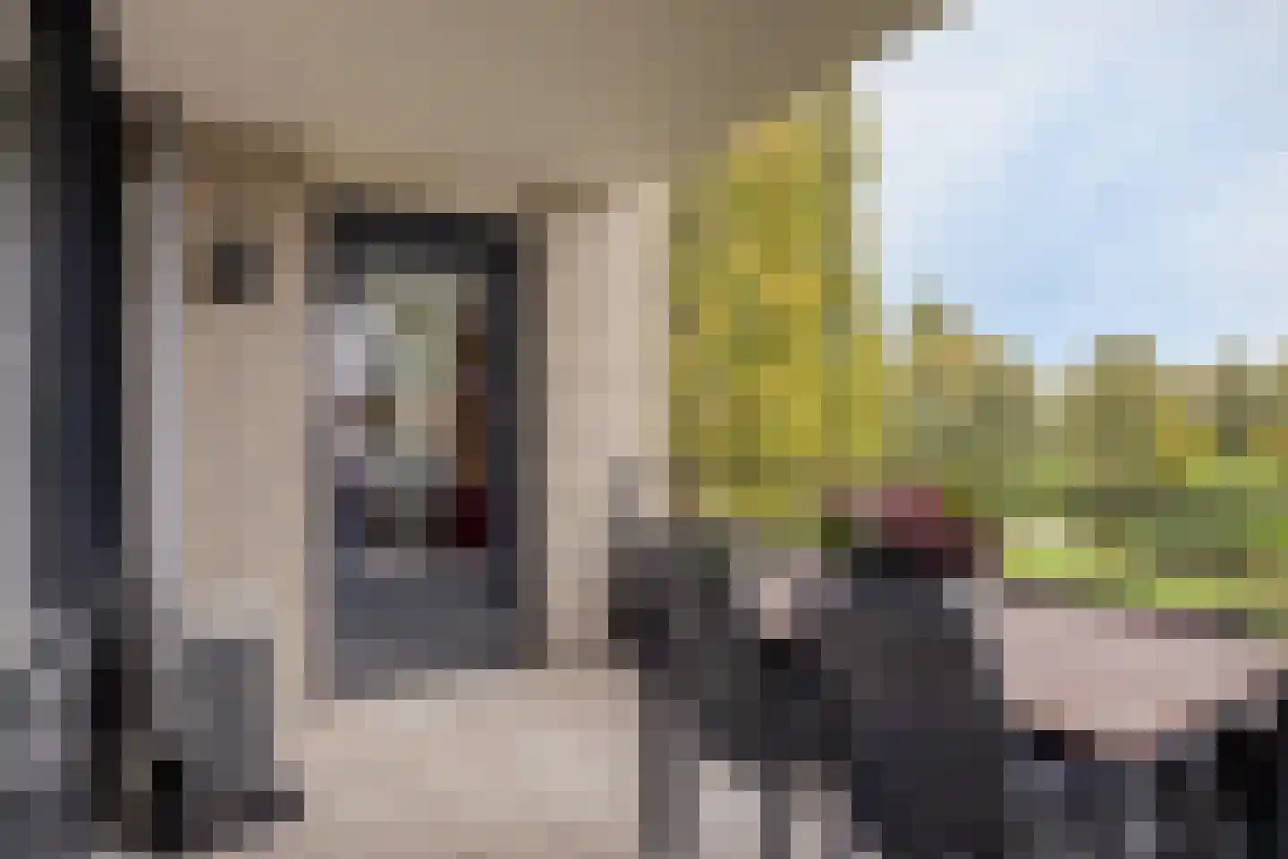 Schout van Raesfeltstraat 101 's-Hertogenbosch thumbnail 19