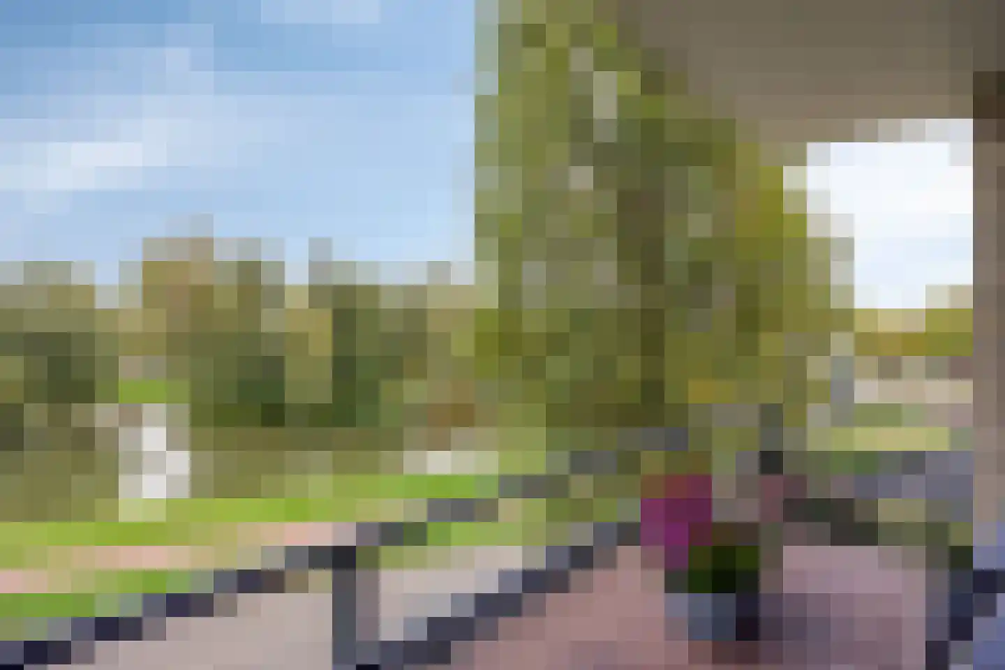 Schout van Raesfeltstraat 101 's-Hertogenbosch thumbnail 20