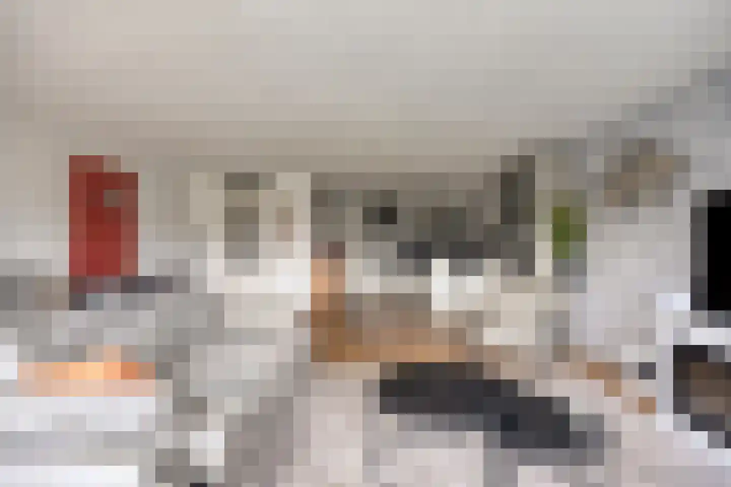 Schout van Raesfeltstraat 101 's-Hertogenbosch thumbnail 21