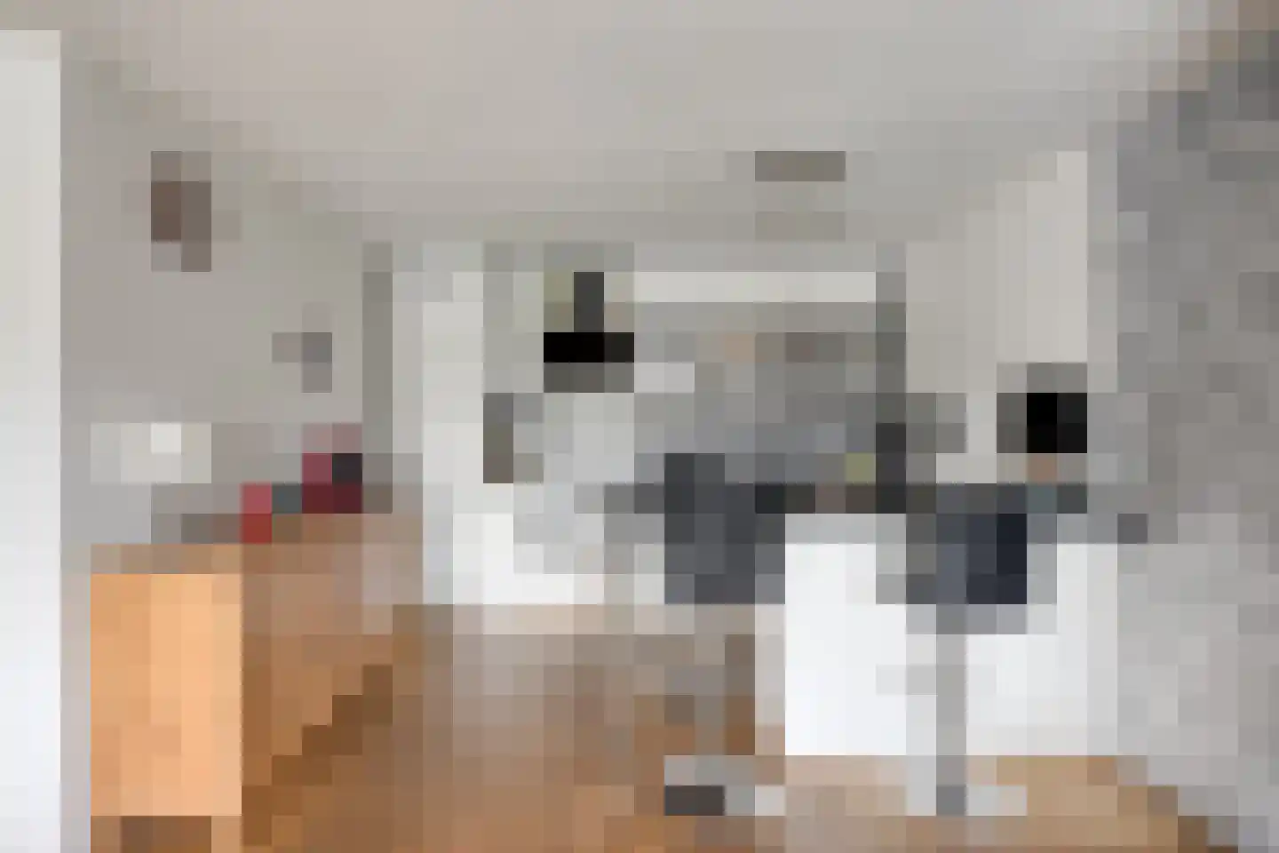 Schout van Raesfeltstraat 101 's-Hertogenbosch thumbnail 23