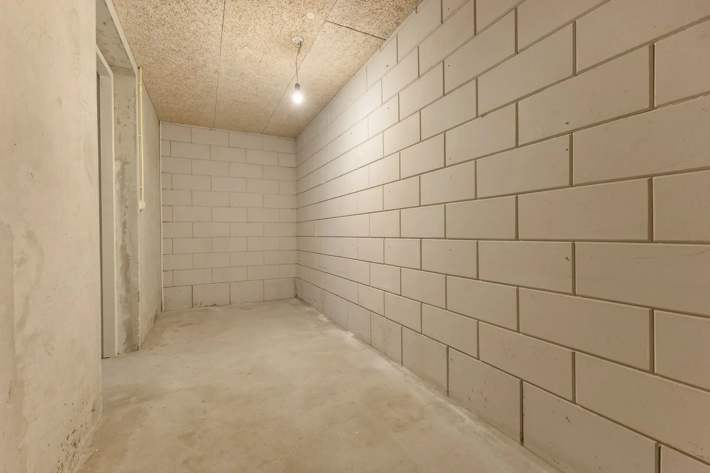 Schout van Raesfeltstraat 101 's-Hertogenbosch thumbnail 24