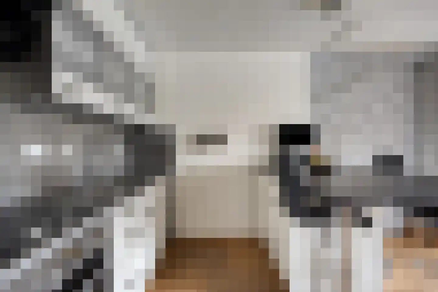 Schout van Raesfeltstraat 101 's-Hertogenbosch thumbnail 25