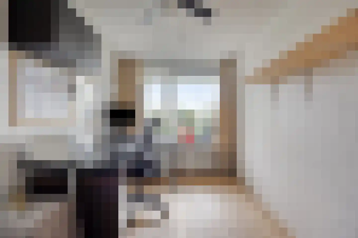 Schout van Raesfeltstraat 101 's-Hertogenbosch thumbnail 29