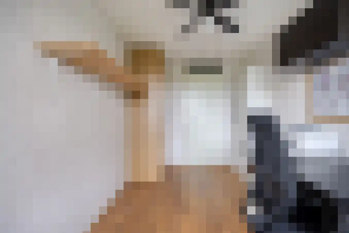 Schout van Raesfeltstraat 101 's-Hertogenbosch thumbnail 30