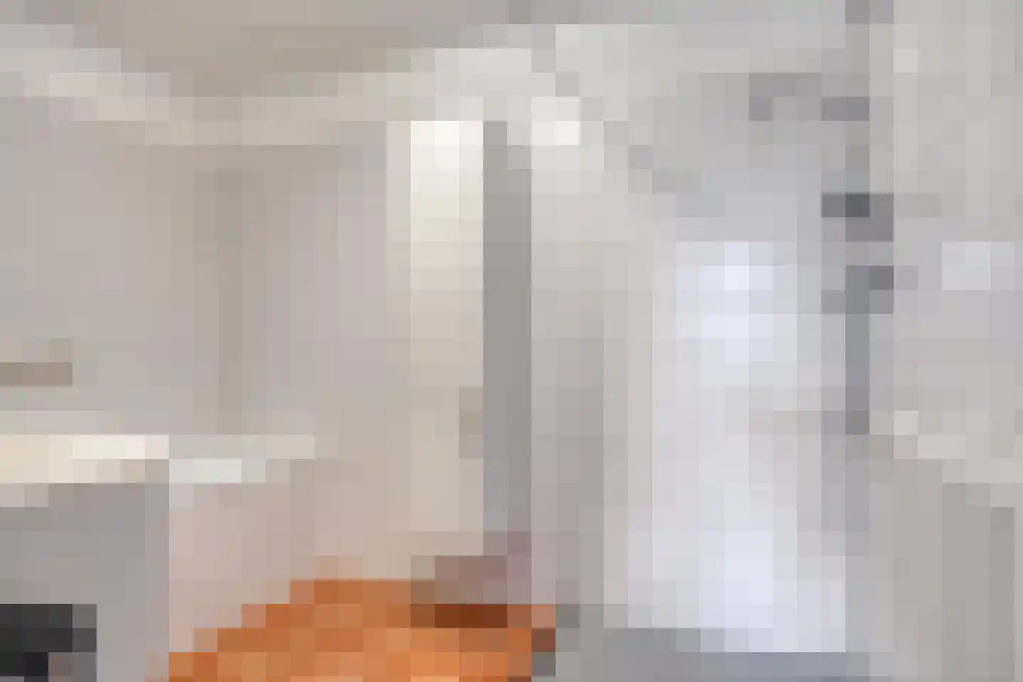 Schout van Raesfeltstraat 101 's-Hertogenbosch thumbnail 31