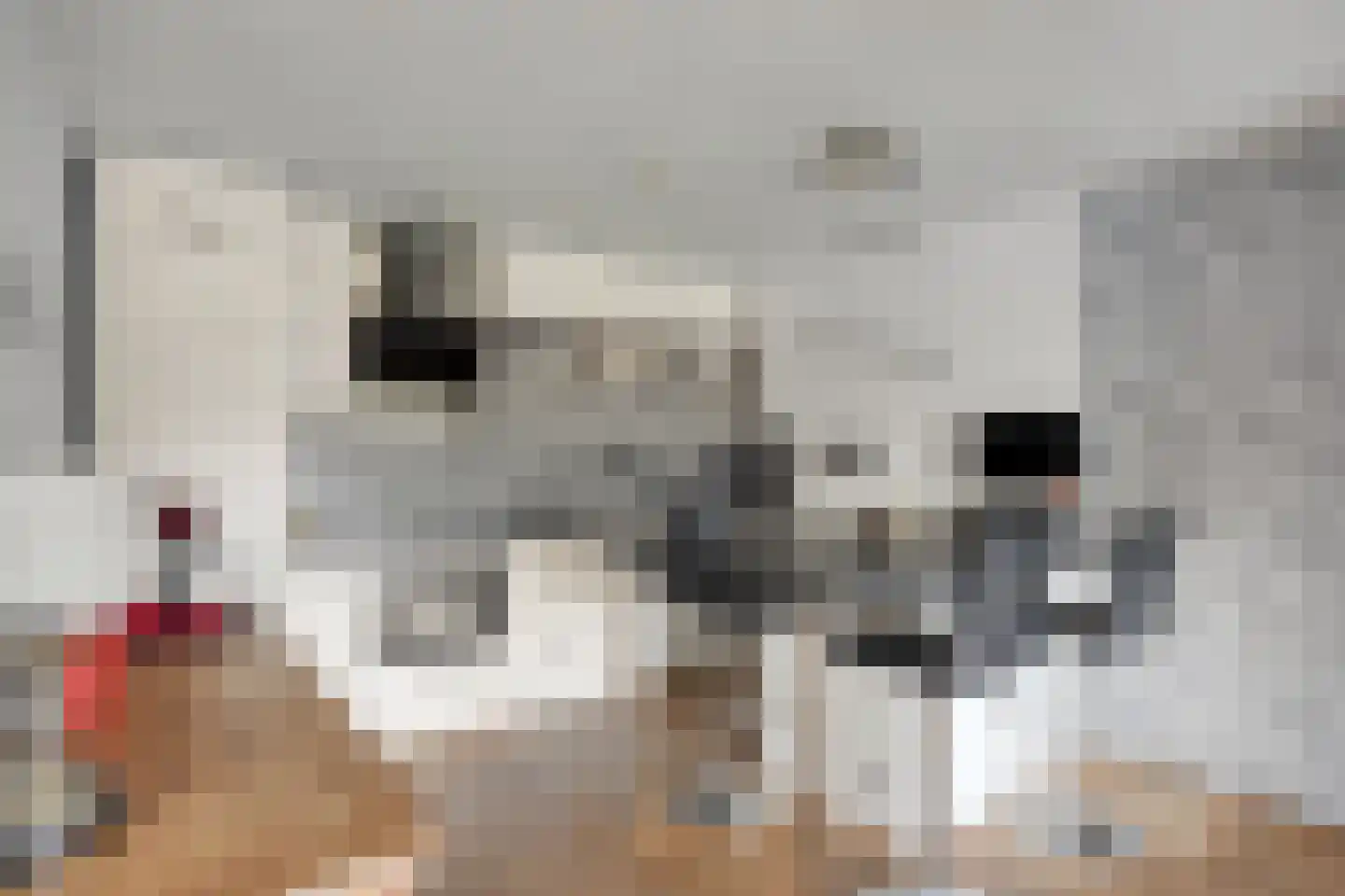 Schout van Raesfeltstraat 101 's-Hertogenbosch thumbnail 5