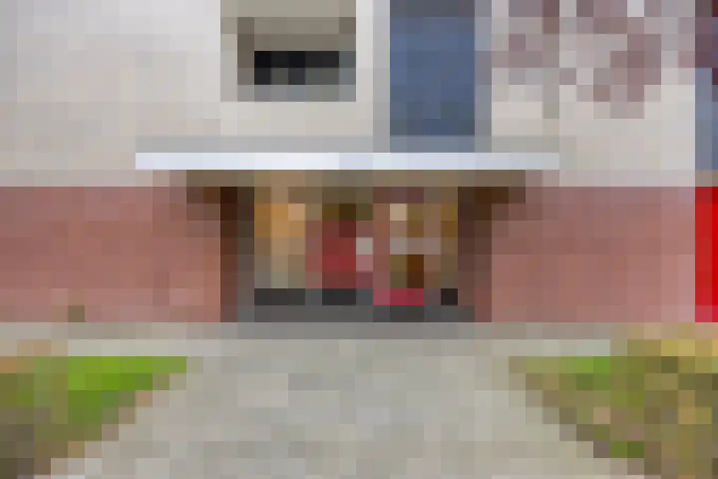 Schout van Raesfeltstraat 101 's-Hertogenbosch thumbnail 8