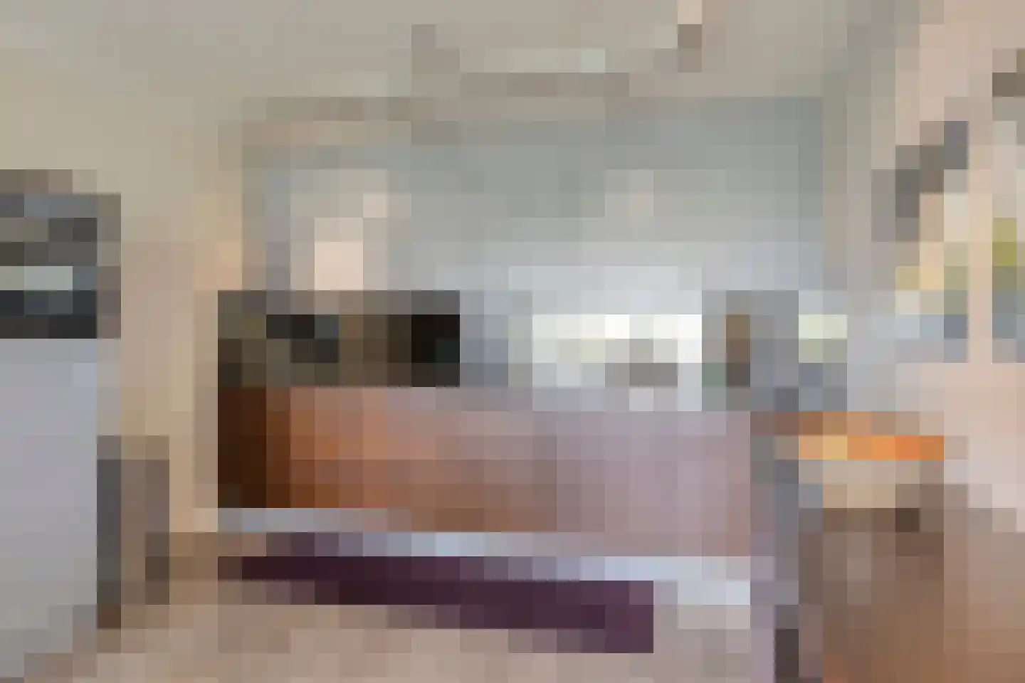 Schout van Raesfeltstraat 107 's-Hertogenbosch thumbnail 12
