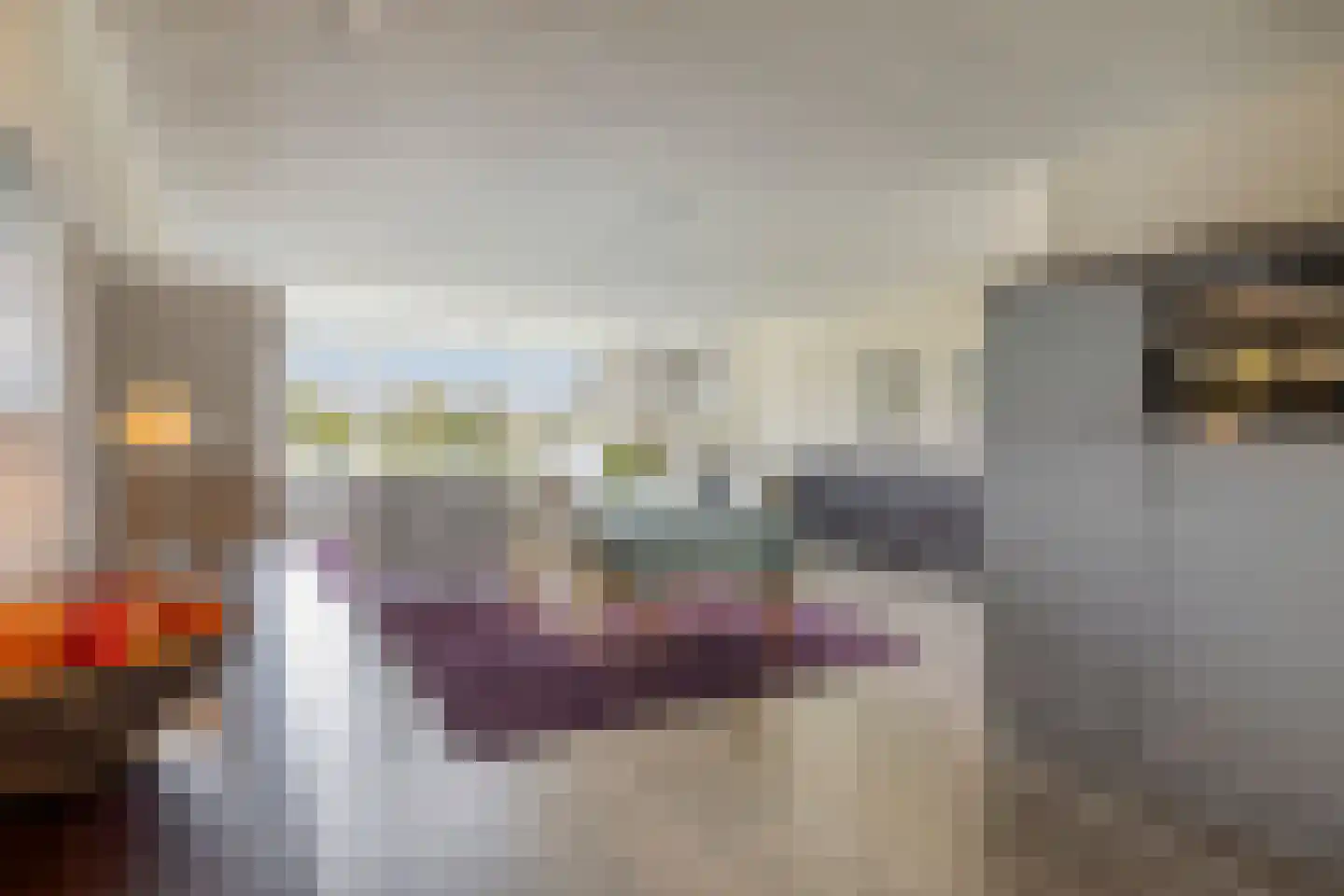 Schout van Raesfeltstraat 107 's-Hertogenbosch thumbnail 13
