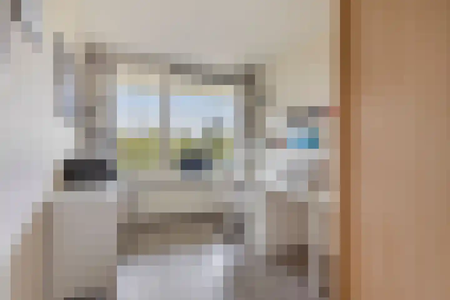 Schout van Raesfeltstraat 107 's-Hertogenbosch thumbnail 18