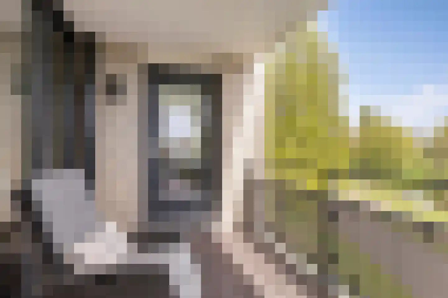 Schout van Raesfeltstraat 107 's-Hertogenbosch thumbnail 21