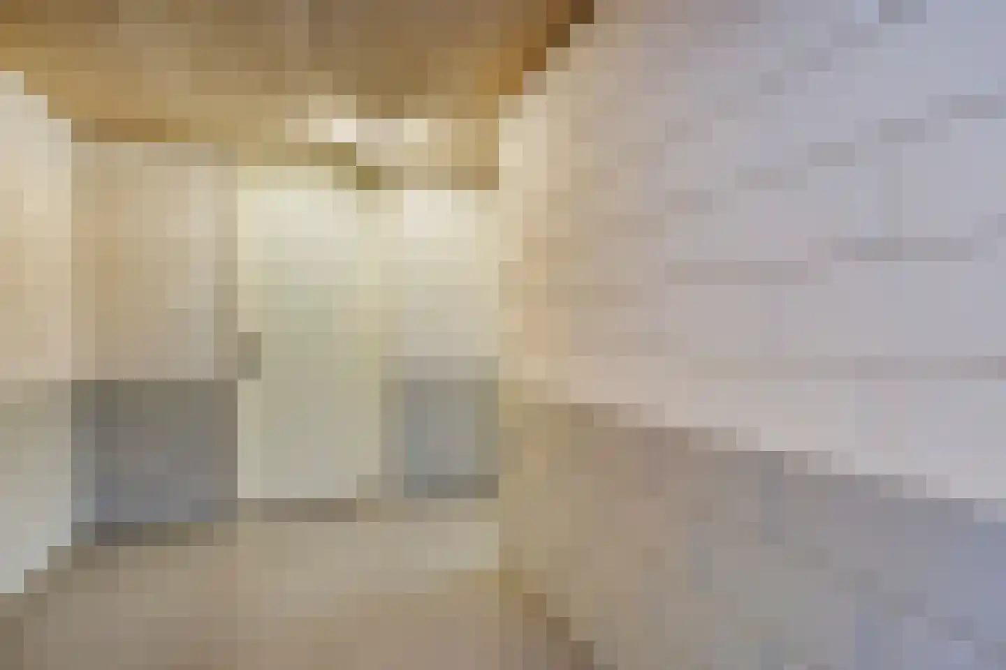 Schout van Raesfeltstraat 107 's-Hertogenbosch thumbnail 23