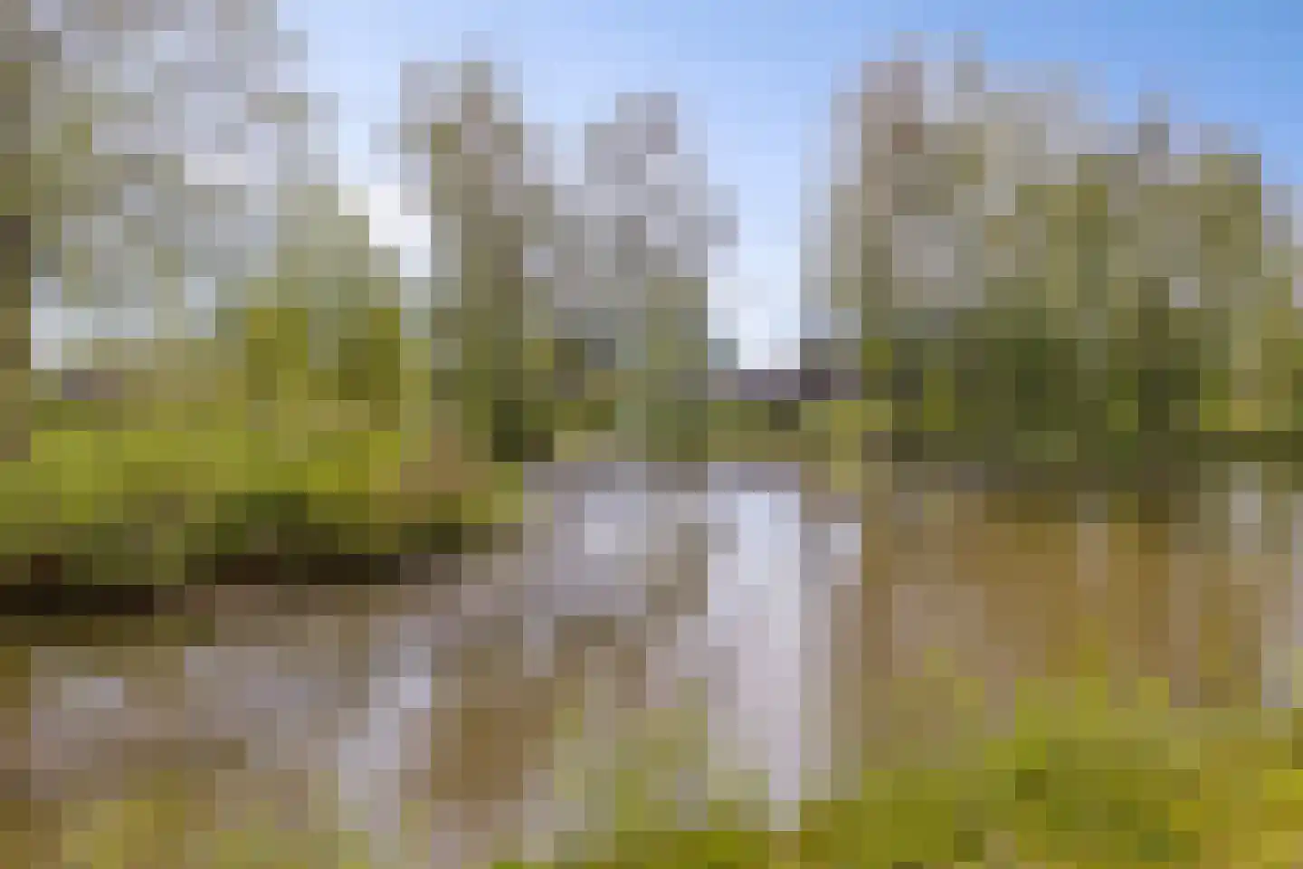 Schout van Raesfeltstraat 107 's-Hertogenbosch thumbnail 24