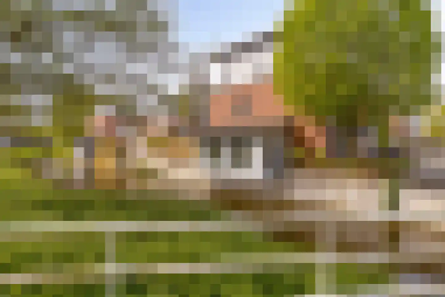 Schout van Raesfeltstraat 107 's-Hertogenbosch thumbnail 25