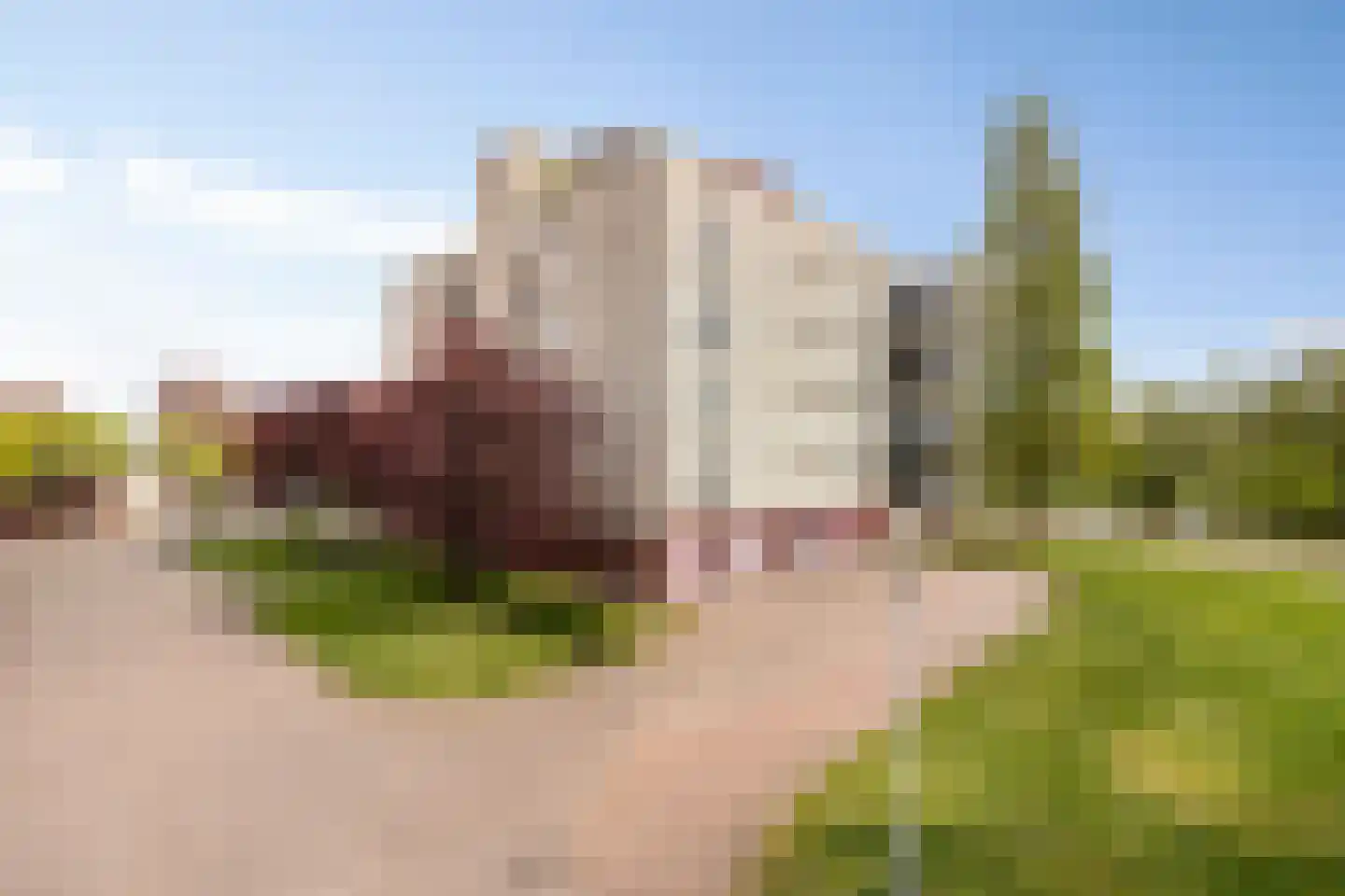 Schout van Raesfeltstraat 107 's-Hertogenbosch thumbnail 26