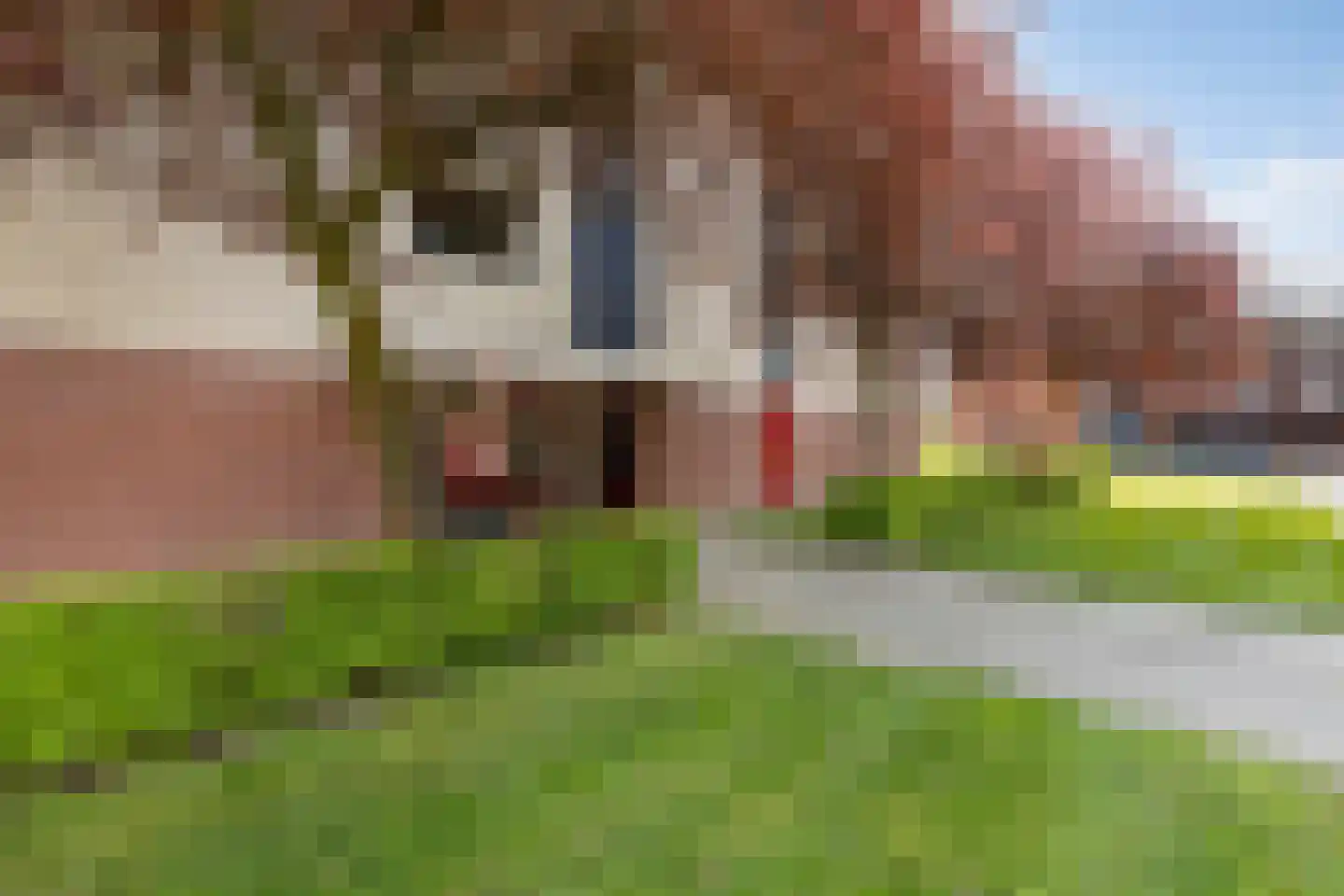 Schout van Raesfeltstraat 107 's-Hertogenbosch thumbnail 5