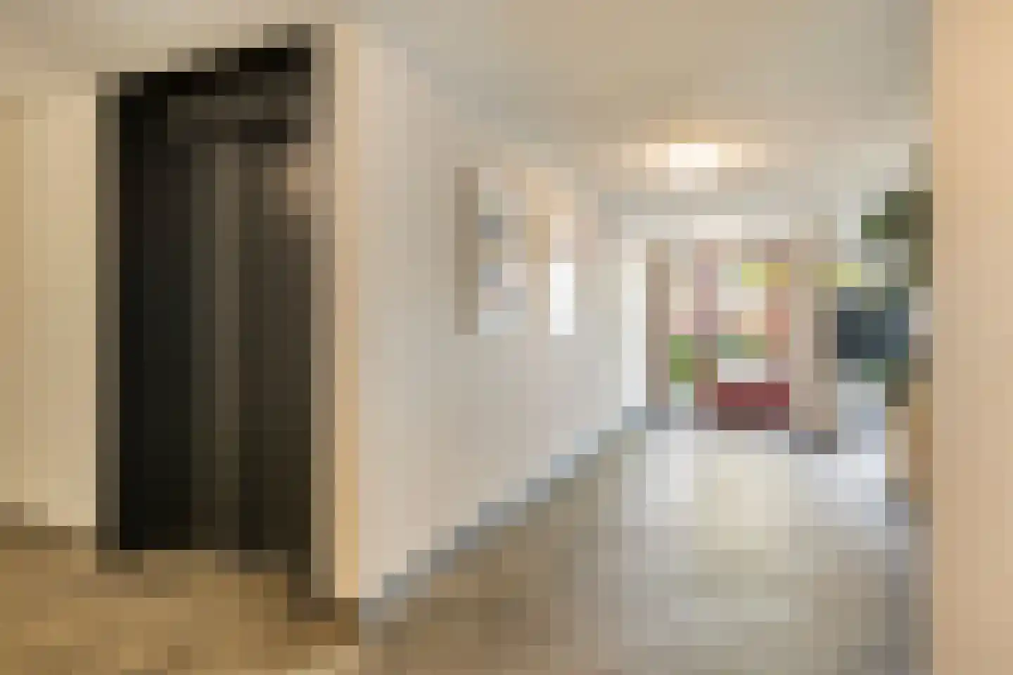 Schout van Raesfeltstraat 107 's-Hertogenbosch thumbnail 6