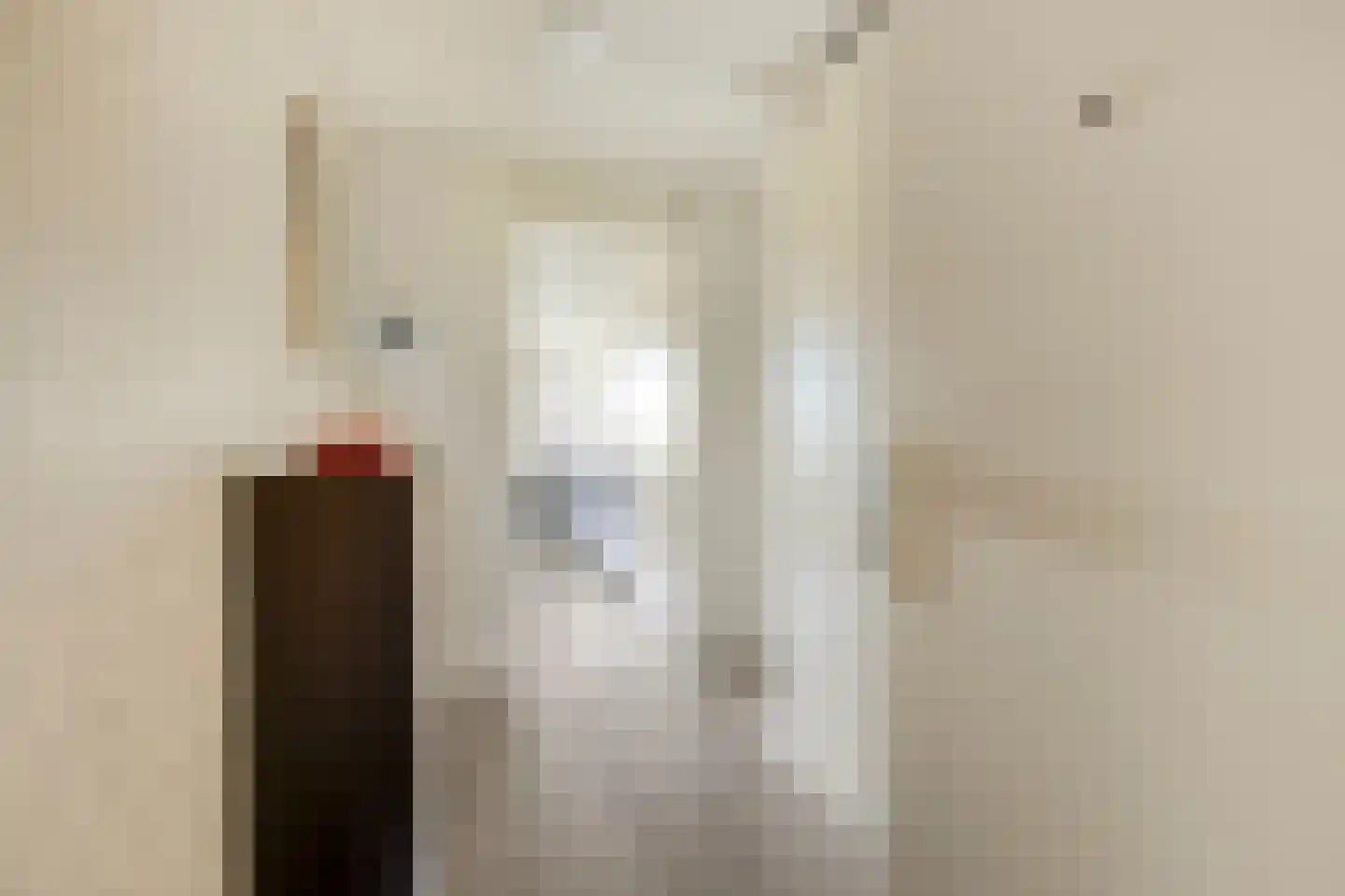 Schout van Raesfeltstraat 107 's-Hertogenbosch thumbnail 8