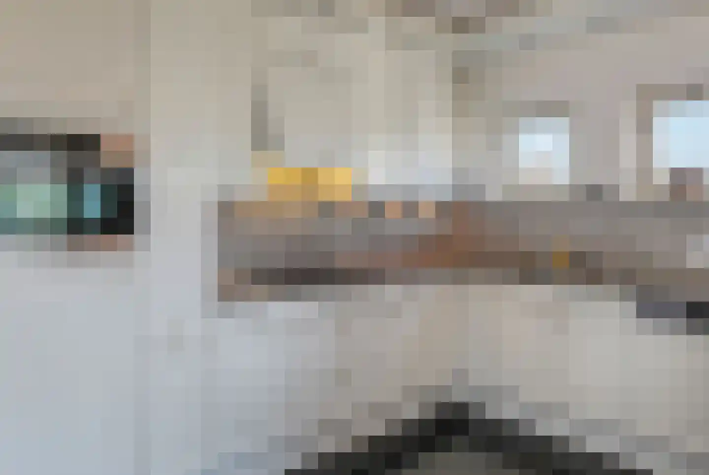 Schout van Raesfeltstraat 115 's-Hertogenbosch thumbnail 12