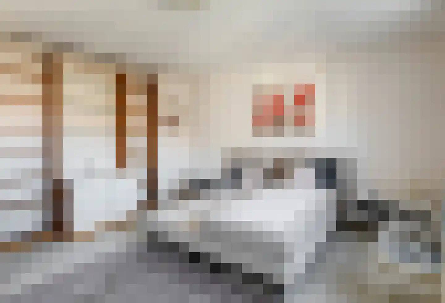 Schout van Raesfeltstraat 115 's-Hertogenbosch thumbnail 20