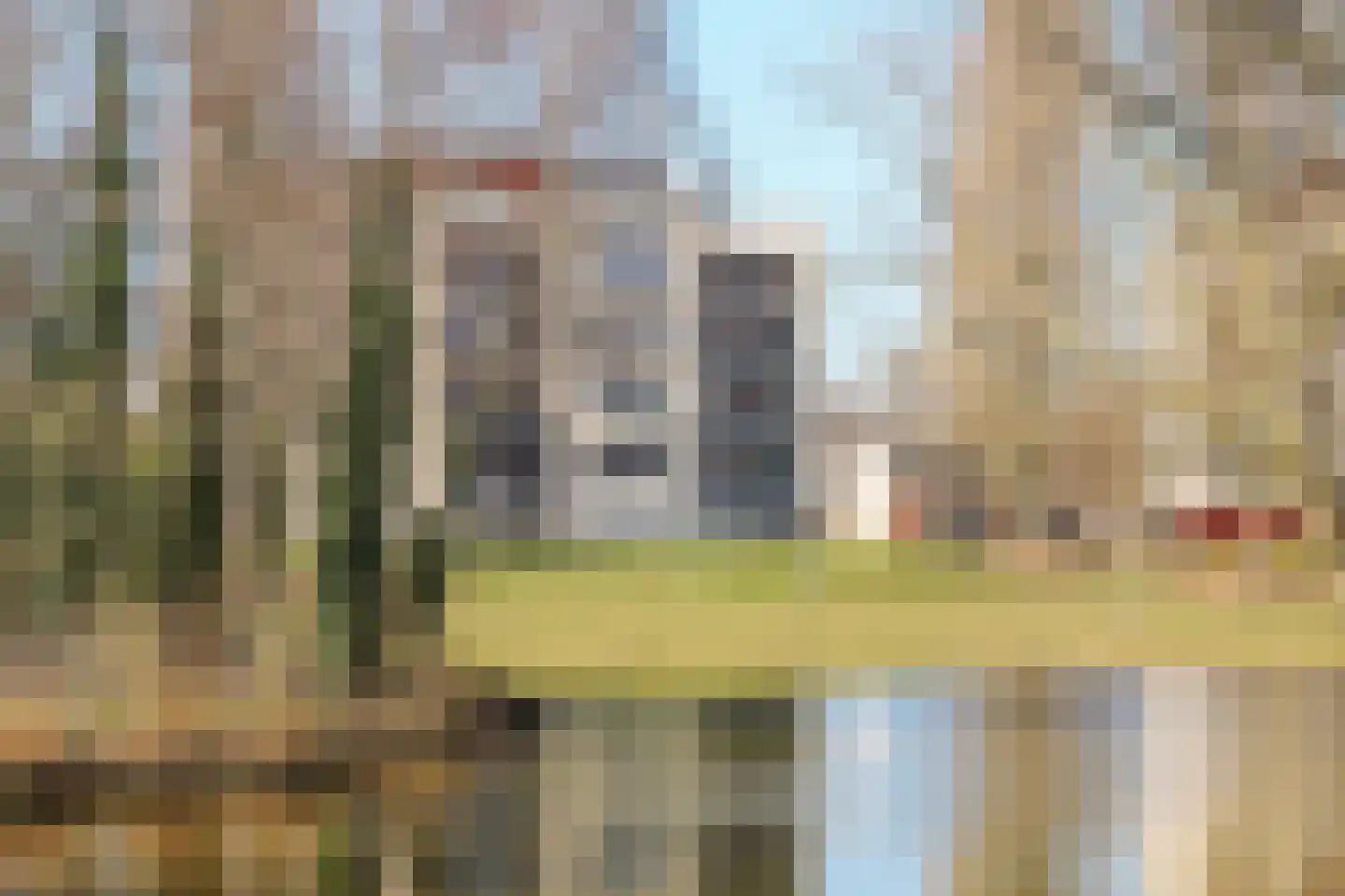 Schout van Raesfeltstraat 115 's-Hertogenbosch thumbnail 30