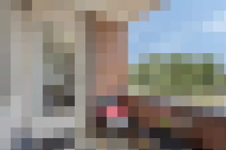 Schout van Raesfeltstraat 17 's-Hertogenbosch thumbnail 10