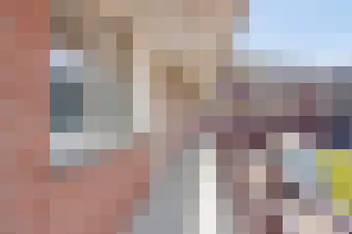 Schout van Raesfeltstraat 17 's-Hertogenbosch thumbnail 21