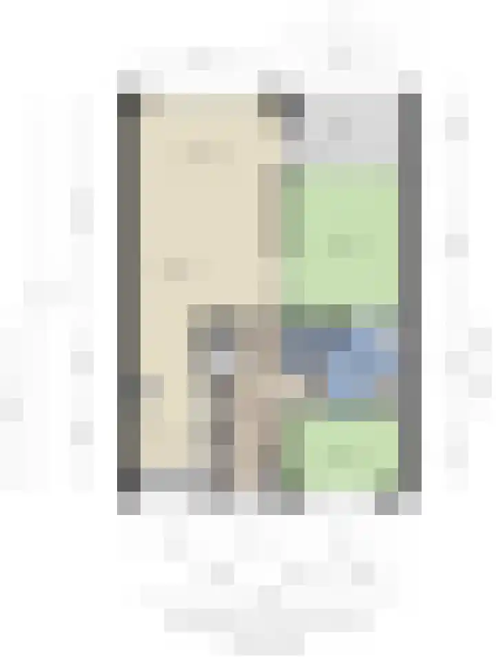 Schout van Raesfeltstraat 17 's-Hertogenbosch thumbnail 29