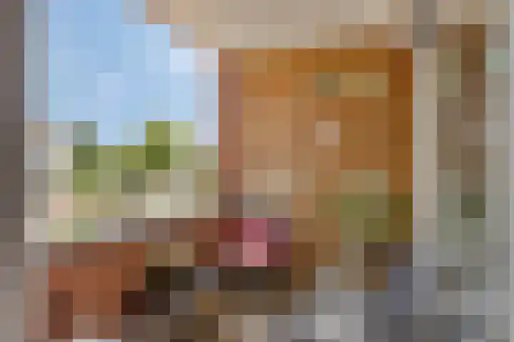 Schout van Raesfeltstraat 17 's-Hertogenbosch thumbnail 9
