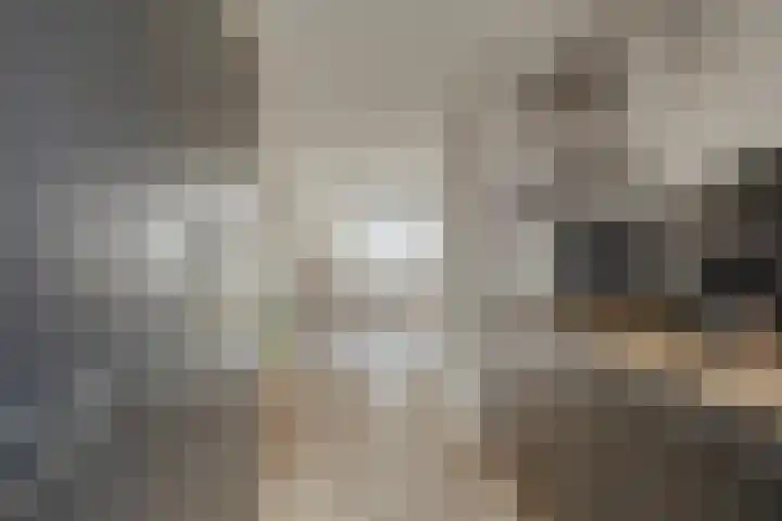 Schout van Raesfeltstraat 21 's-Hertogenbosch thumbnail 11