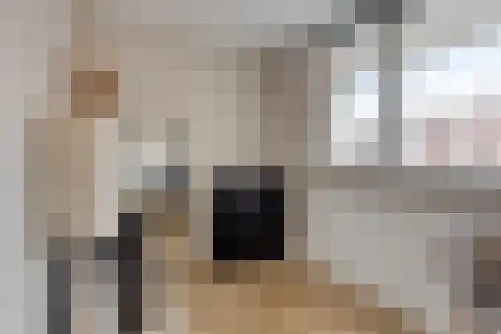 Schout van Raesfeltstraat 21 's-Hertogenbosch thumbnail 16
