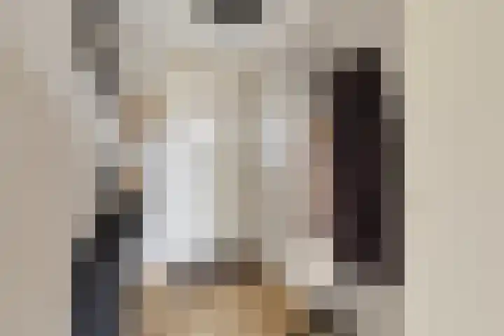 Schout van Raesfeltstraat 21 's-Hertogenbosch thumbnail 18