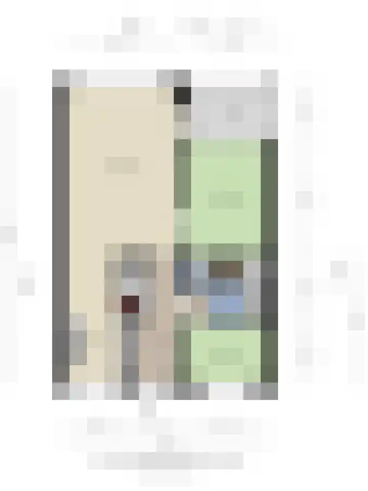 Schout van Raesfeltstraat 21 's-Hertogenbosch thumbnail 23