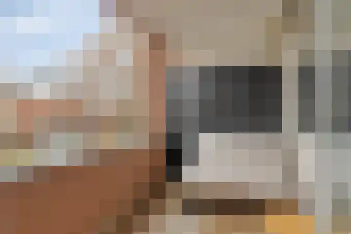 Schout van Raesfeltstraat 21 's-Hertogenbosch thumbnail 5