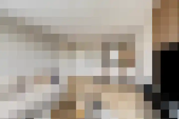 Schout van Raesfeltstraat 21 's-Hertogenbosch thumbnail 8