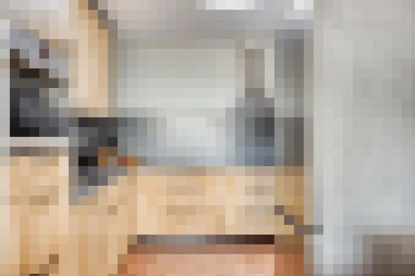 Schout van Raesfeltstraat 25 's-Hertogenbosch thumbnail 8