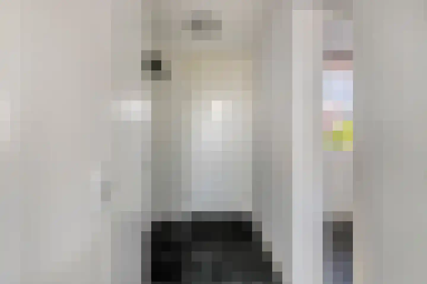 Schout van Raesfeltstraat 27 's-Hertogenbosch thumbnail 12